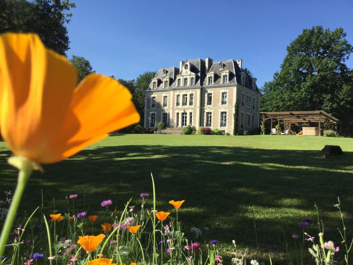 Chateau Des Essards Avec Piscine Et Jacuzzi Langeais Ngoại thất bức ảnh